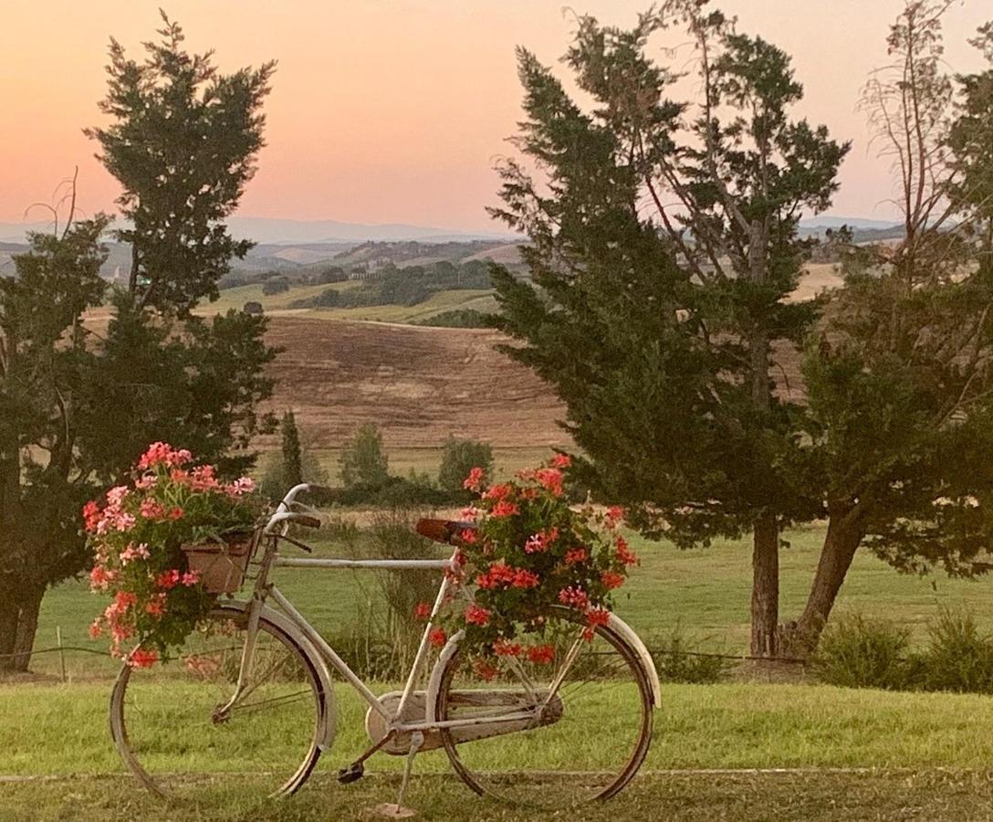 Wine Resort Colsereno Montalcino Exterior photo