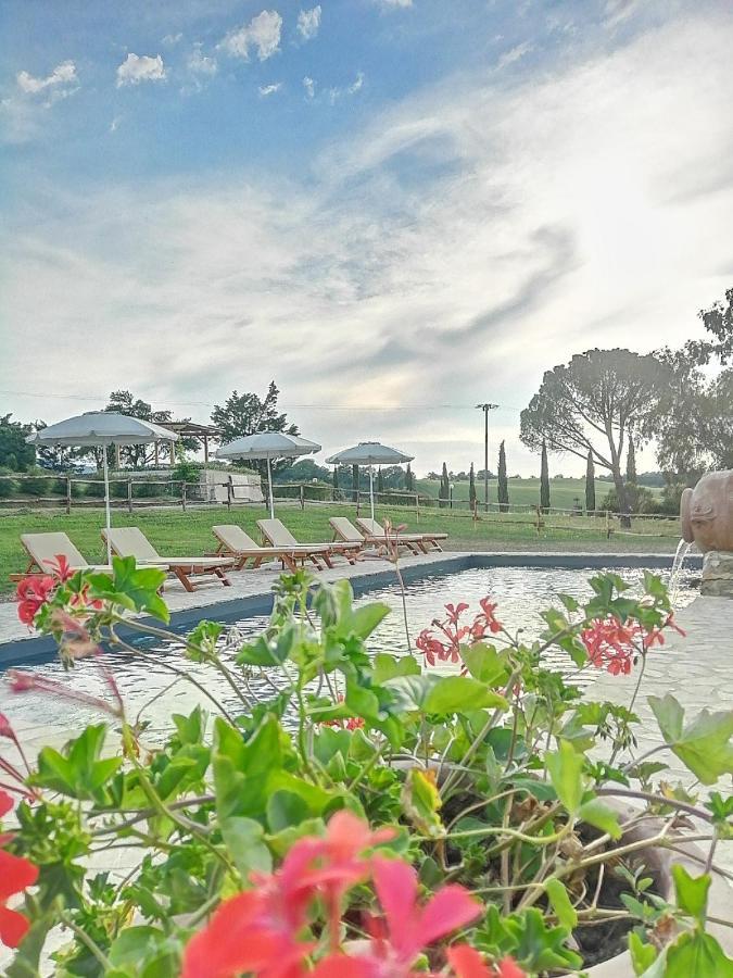 Wine Resort Colsereno Montalcino Exterior photo