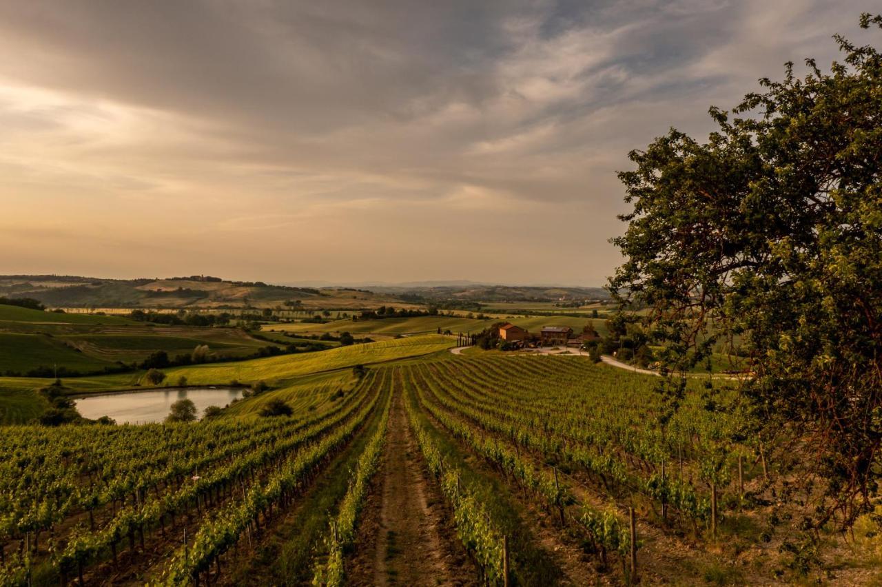 Wine Resort Colsereno Montalcino Exterior photo