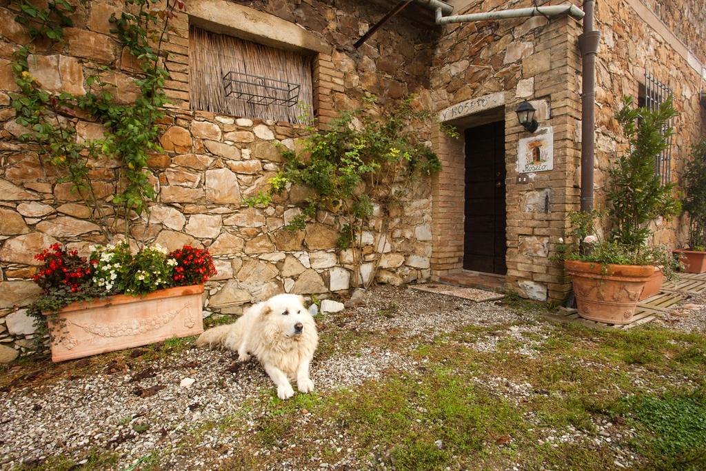Wine Resort Colsereno Montalcino Exterior photo