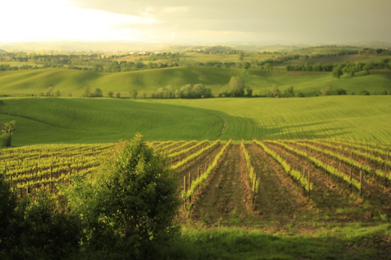 Wine Resort Colsereno Montalcino Exterior photo