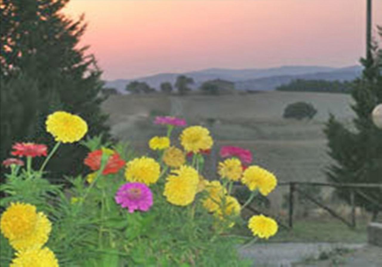 Wine Resort Colsereno Montalcino Exterior photo