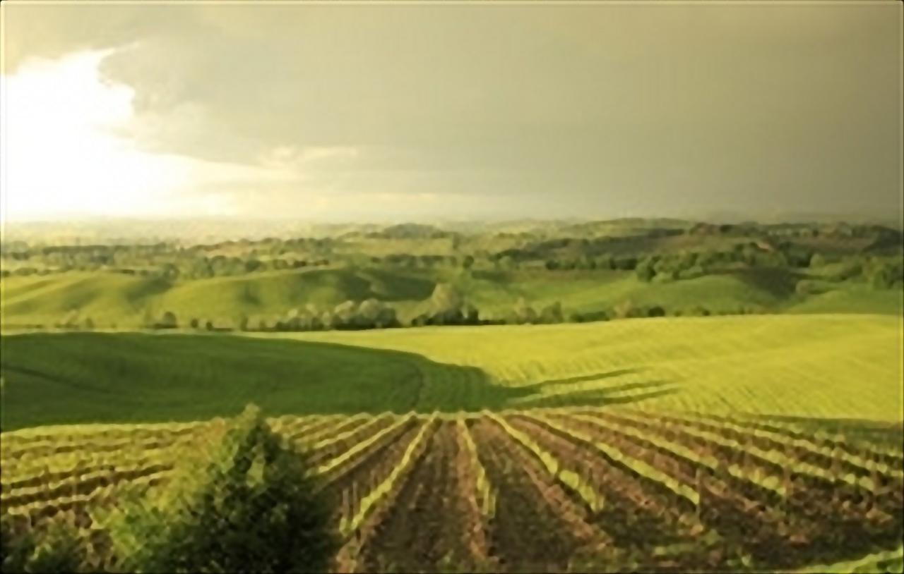 Wine Resort Colsereno Montalcino Exterior photo
