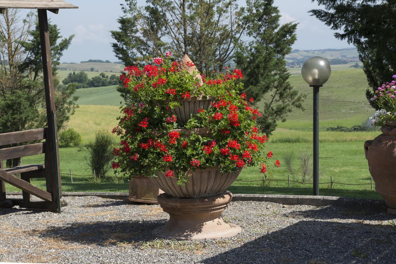 Wine Resort Colsereno Montalcino Exterior photo