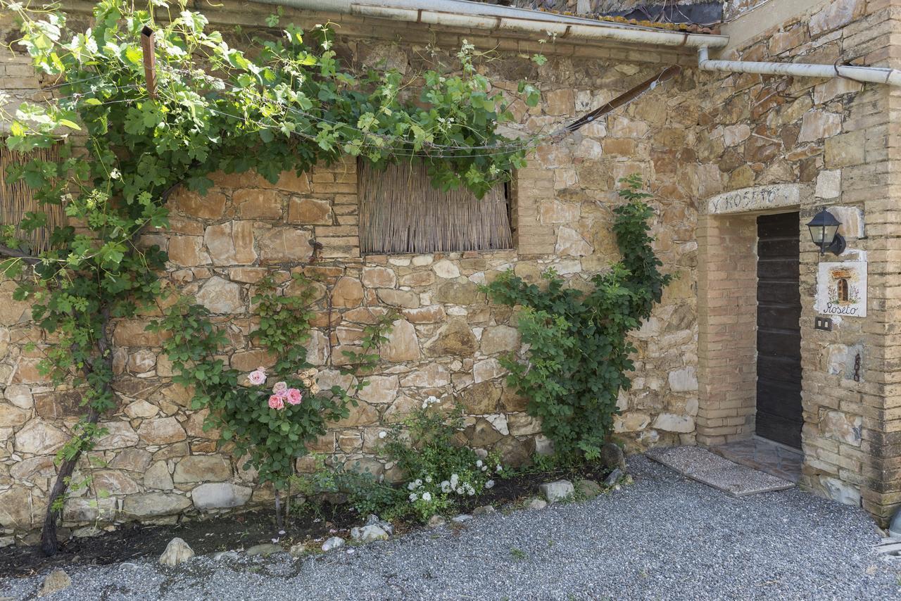 Wine Resort Colsereno Montalcino Exterior photo